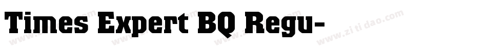 Times Expert BQ Regu字体转换